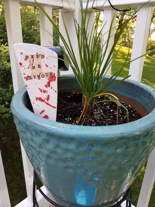 Feed Me Seymour Garden Stake
