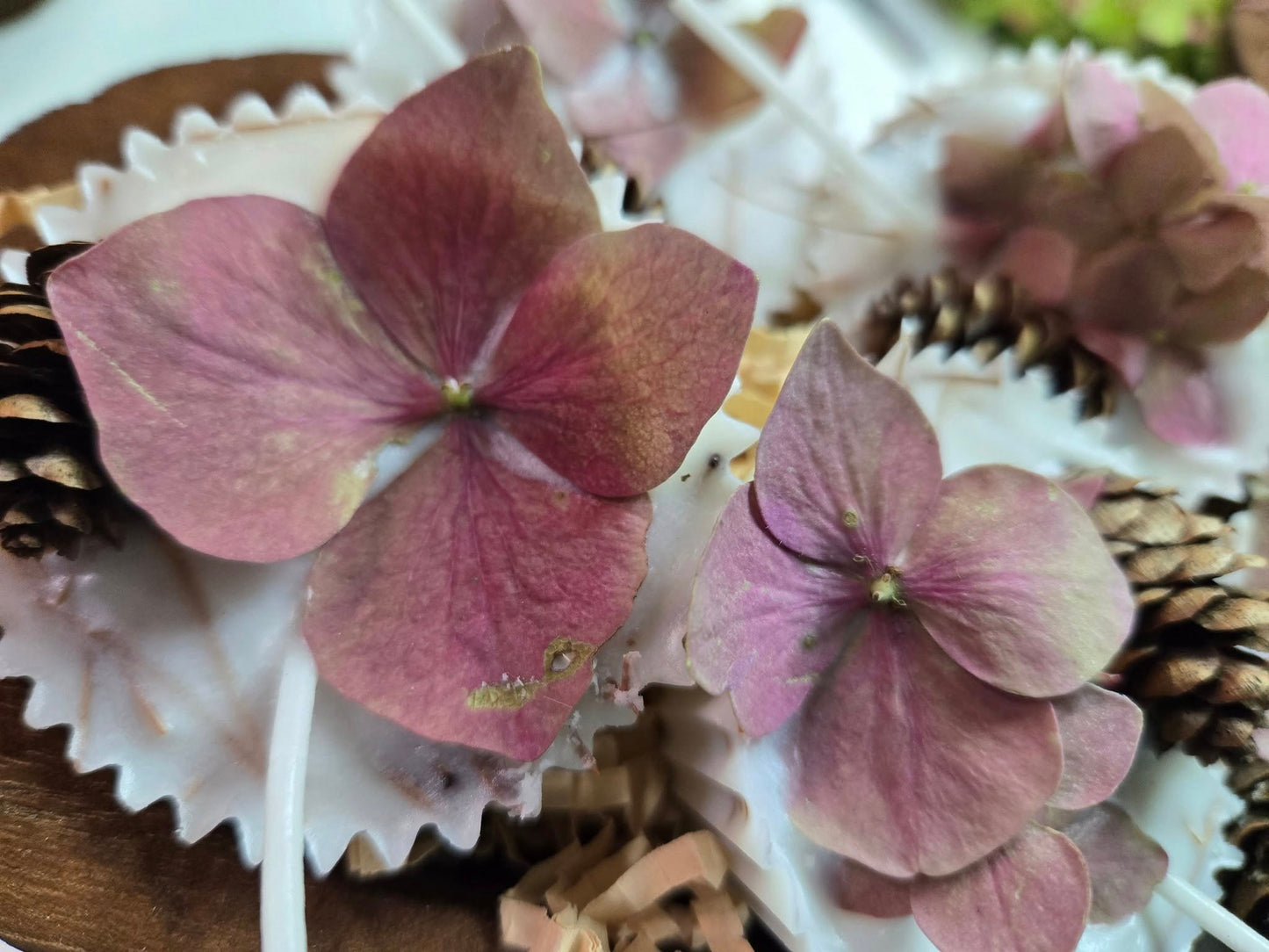 Firestarters, 4 pack