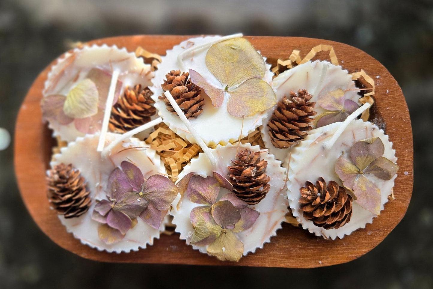 Firestarters, 6 pack